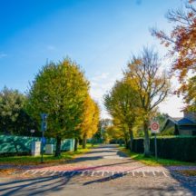 Thumbnail of post #272886