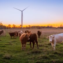 Thumbnail of post #273329