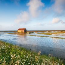 Thumbnail of post #273426