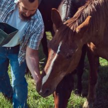 Thumbnail of post #274839