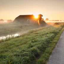 Thumbnail of post #279170