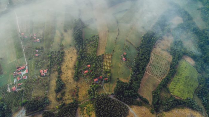 Het ruimtelijk beleidsplan: een instrument met tanden?